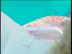 'Girls Who Like Girls 5' screenshot nº 17