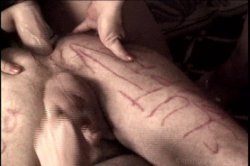 'Boss Bitches 8' screenshot nº 94