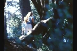 'Valley' screenshot nº 45
