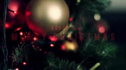 Captura de 'Kendo's Merry Christmas' nº 1