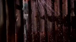 Captura de 'Bud Lee's Sex Fest 4' nº 95