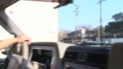 Captura de 'That Cougar Fucks Like An Animal 7' nº 47