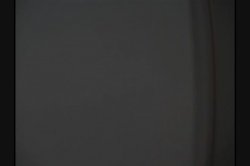 Captura de 'Scale Bustin Babes 17' nº 126
