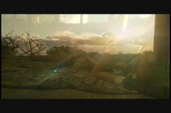 'Snap Shot' screenshot nº 117
