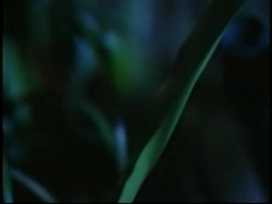 'Bimbo: Hot Part 1' screenshot nº 75