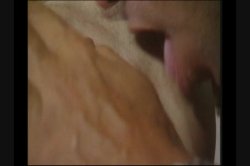 Captura de 'Ass Angels 4' nº 2