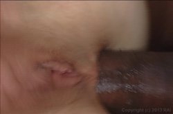 Captura de 'Thick Ass White Girlz 3' nº 82
