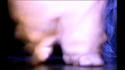 'Alice In Anal Land' screenshot nº 40