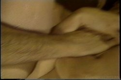 'Hot Ones, The' screenshot nº 138
