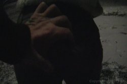 Captura de 'Perryvision 3' nº 66