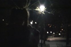 Captura de 'Perryvision 3' nº 68