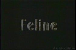 Captura de 'Latin Chocolate Fever' nº 1