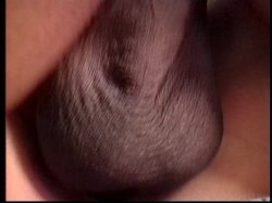 'Nasty Nymphos 8' screenshot nº 120