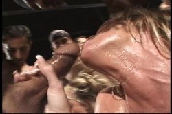 'American Cocksucking Championship 12' screenshot nº 119
