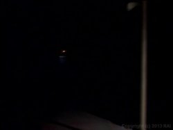 'American Cocksucking Championship 10' screenshot nº 43