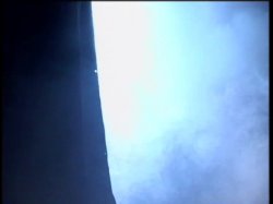 'American Cocksucking Championship 10' screenshot nº 46