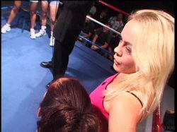 'American Cocksucking Championship 10' screenshot nº 49