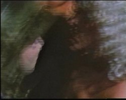'Every Man's Fantasy' screenshot nº 122