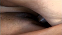 Captura de 'All Star Latin MILF' nº 104