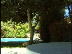 'Chasing The Big Ones 1' screenshot nº 138