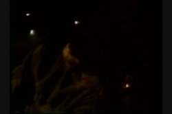 Captura de 'Hollywood Swingers 10' nº 109