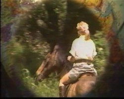 'In and Out of Africa' screenshot nº 4