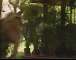 'In and Out of Africa' screenshot nº 56