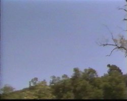 'In and Out of Africa' screenshot nº 6