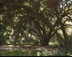 'In and Out of Africa' screenshot nº 74