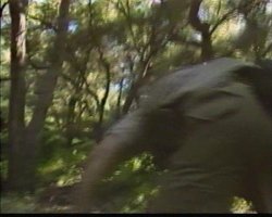 'In and Out of Africa' screenshot nº 77