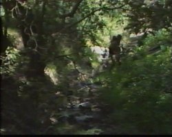 'In and Out of Africa' screenshot nº 10