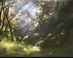 'In and Out of Africa' screenshot nº 101