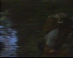 'In and Out of Africa' screenshot nº 11