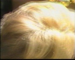 'In and Out of Africa' screenshot nº 20