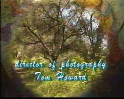 'In and Out of Africa' screenshot nº 3