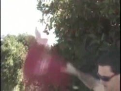 Captura de 'Fuck 'Em All 3' nº 41