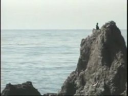 Captura de 'Fuck 'Em All 3' nº 65
