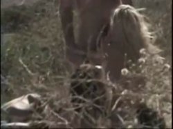 Captura de 'Fuck 'Em All 3' nº 89