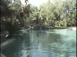 Captura de 'Fuck 'Em All 3' nº 3