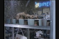 'Bed and Breakfast' screenshot nº 27