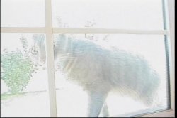 Captura de 'Try a Teen 2' nº 34
