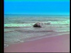 'Midget on Milligan's Island' screenshot nº 51