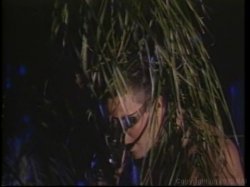 'Midget on Milligan's Island' screenshot nº 100