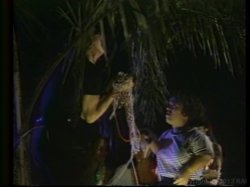 'Midget on Milligan's Island' screenshot nº 103