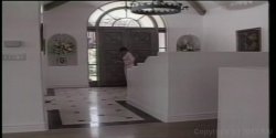 Captura de 'American Pie' nº 66