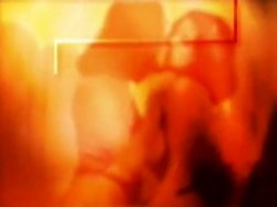 'Voluptuous Xtra' screenshot nº 1