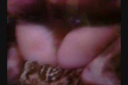 'Porn Royalty: Seka' screenshot nº 127