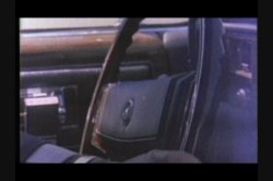 'Porn Royalty: Seka' screenshot nº 36