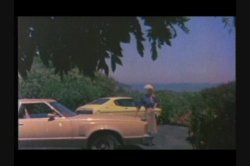 'Porn Royalty: Seka' screenshot nº 50