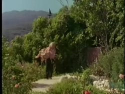 Captura de 'Country Comfort' nº 107